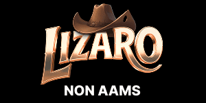 Lizaro Casino